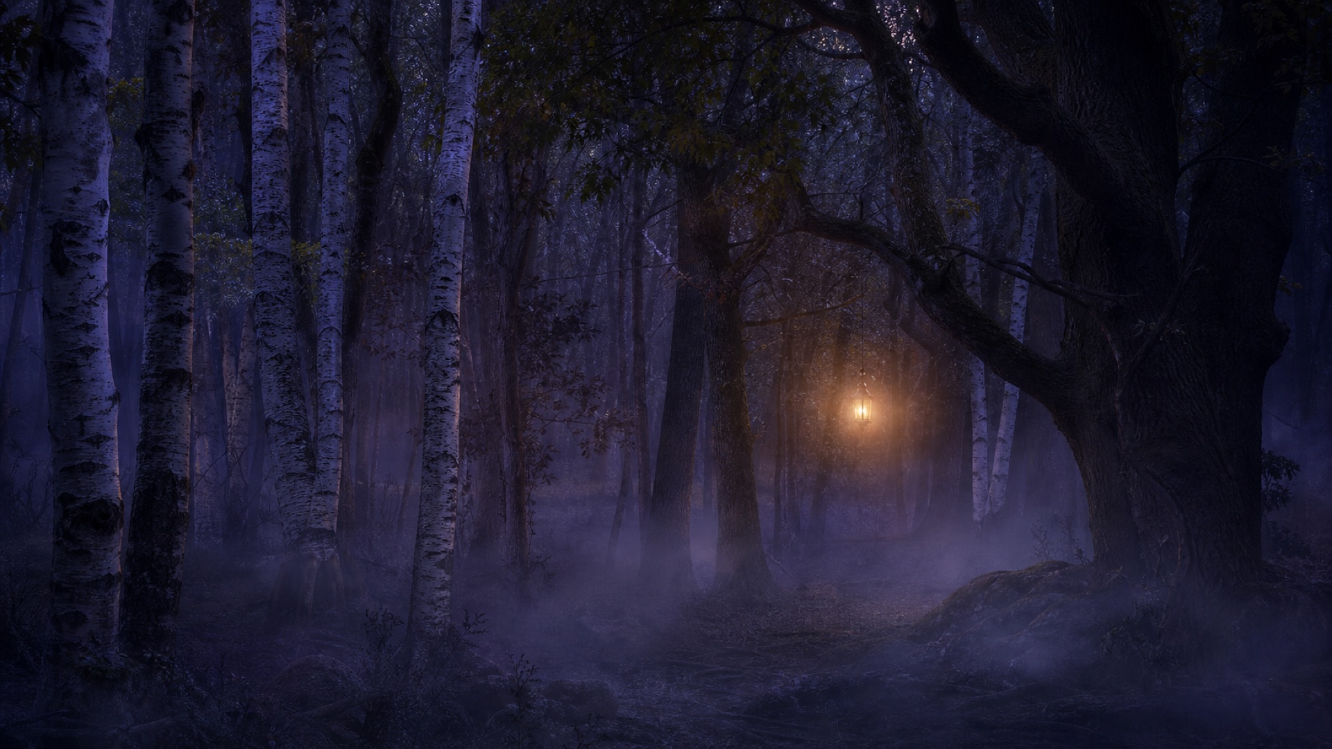 A misty forest at twilight with a distant lantern glow, evoking the world of Into the Woods.
